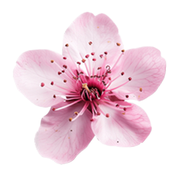 Flower Sudoku Cherry Blossom game icon