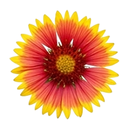 Flower Sudoku Gaillardia game icon